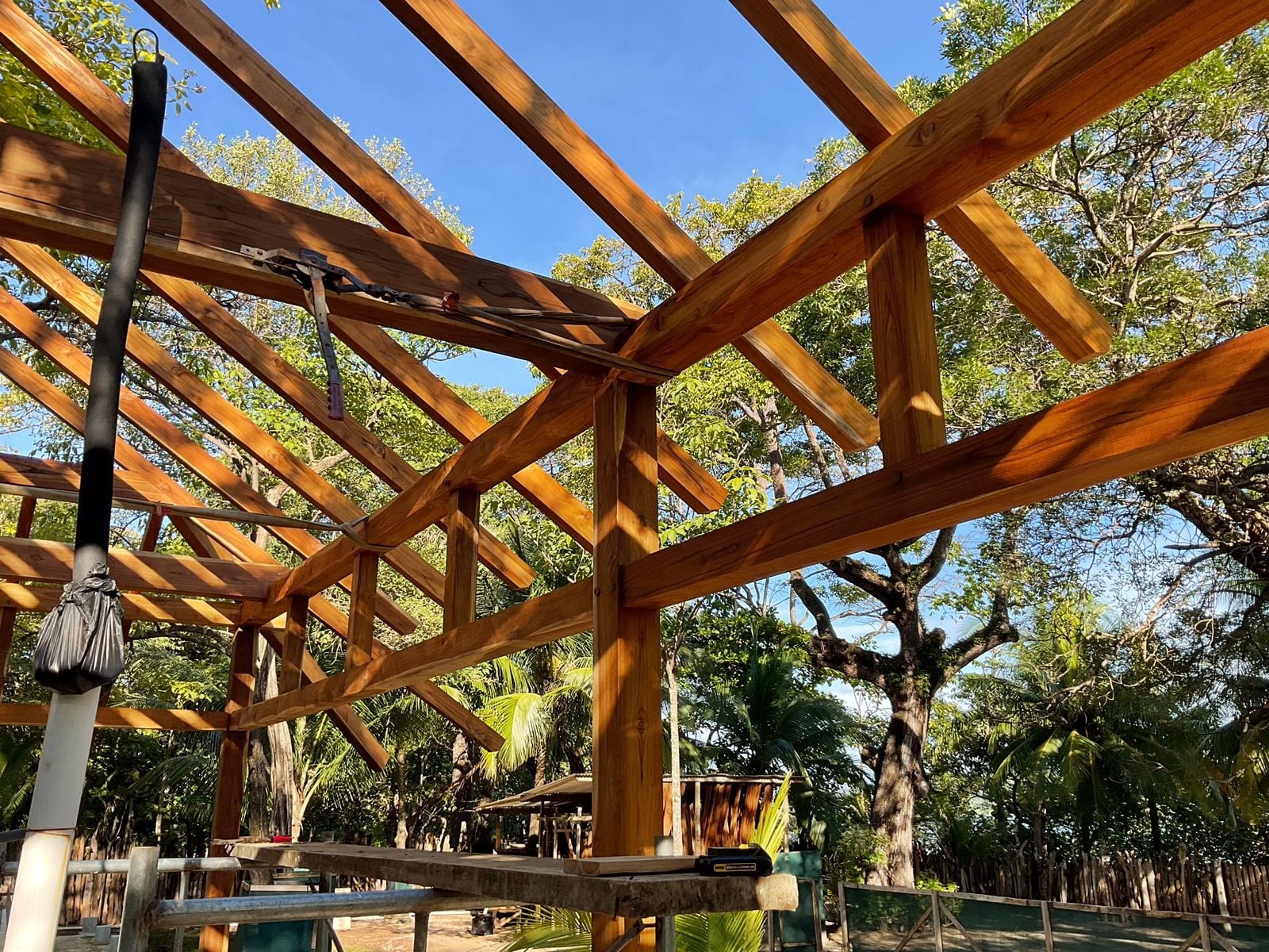 Timber beam-and-post structure under construction among trees.